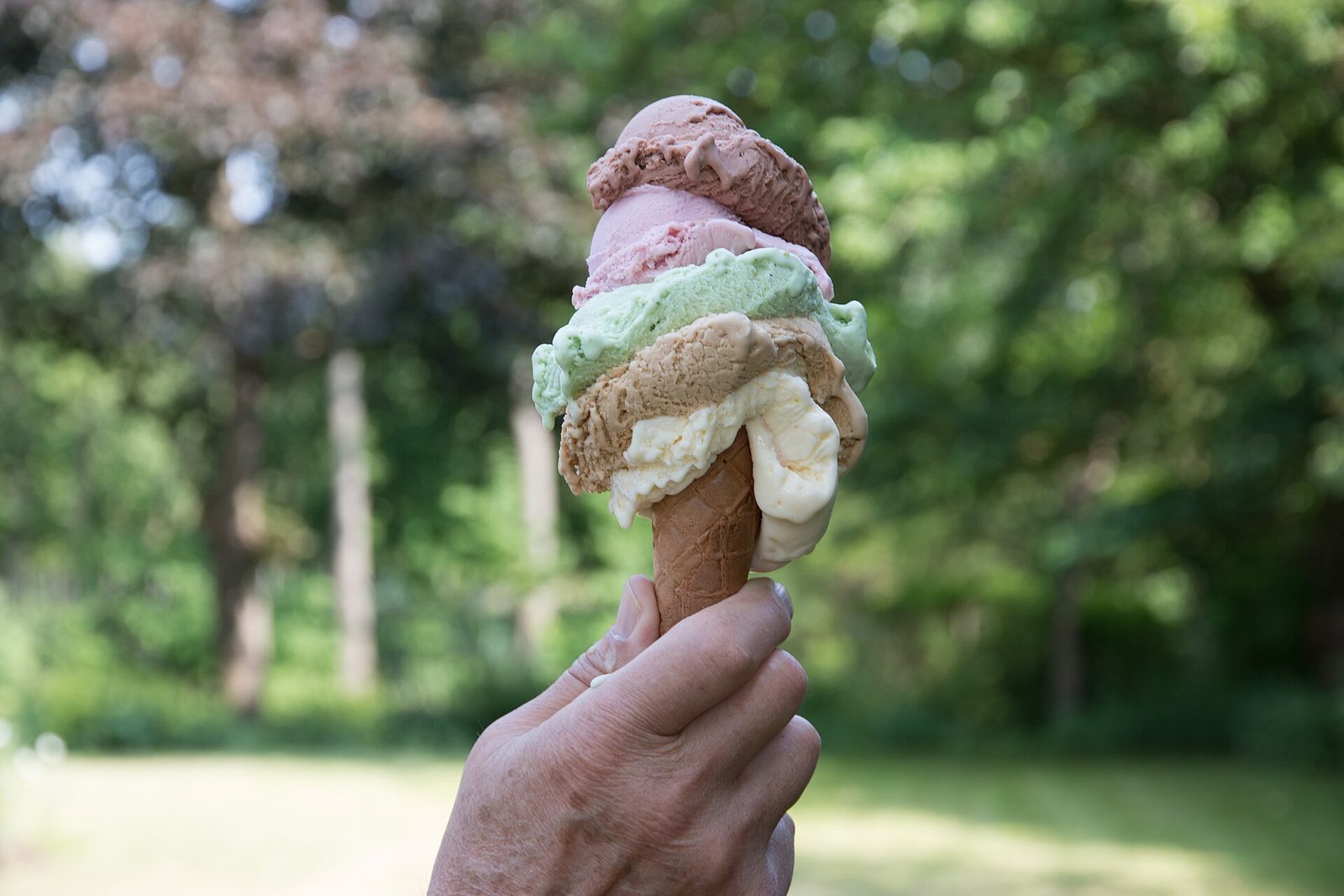 Hånd som holder en kjeks med flere kuler iskrem i en grønn park