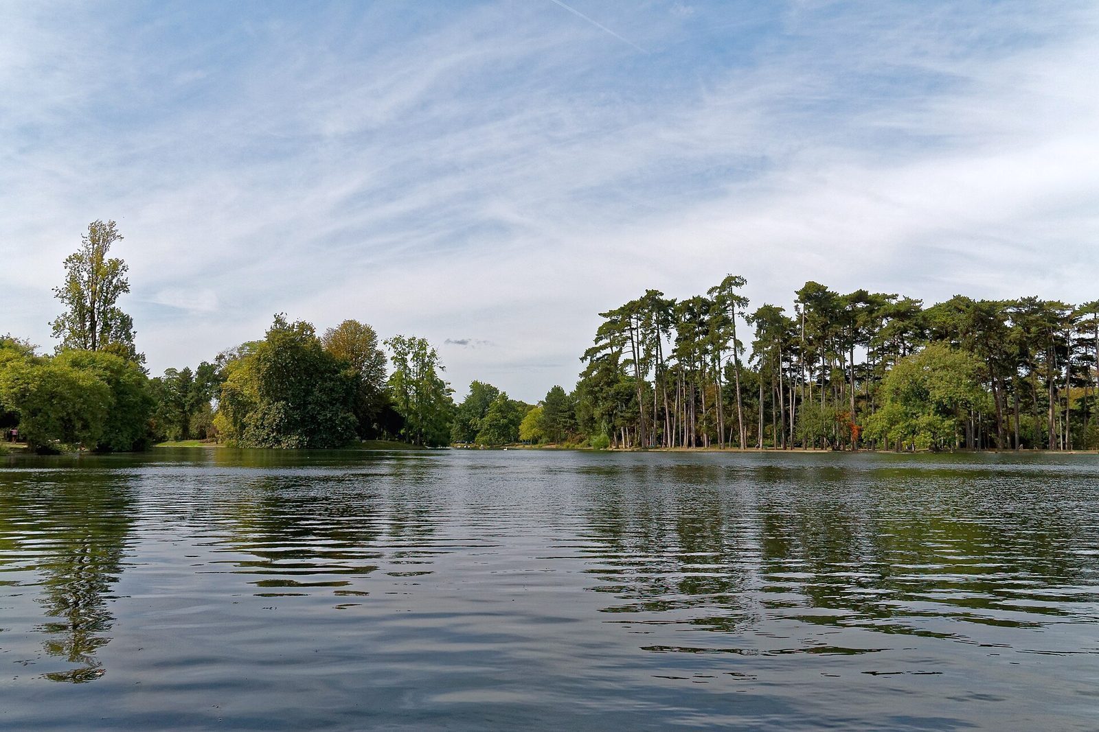 Lac Inférieur i Bois de Boulogne med furutrær langs bredden og speilblankt vann