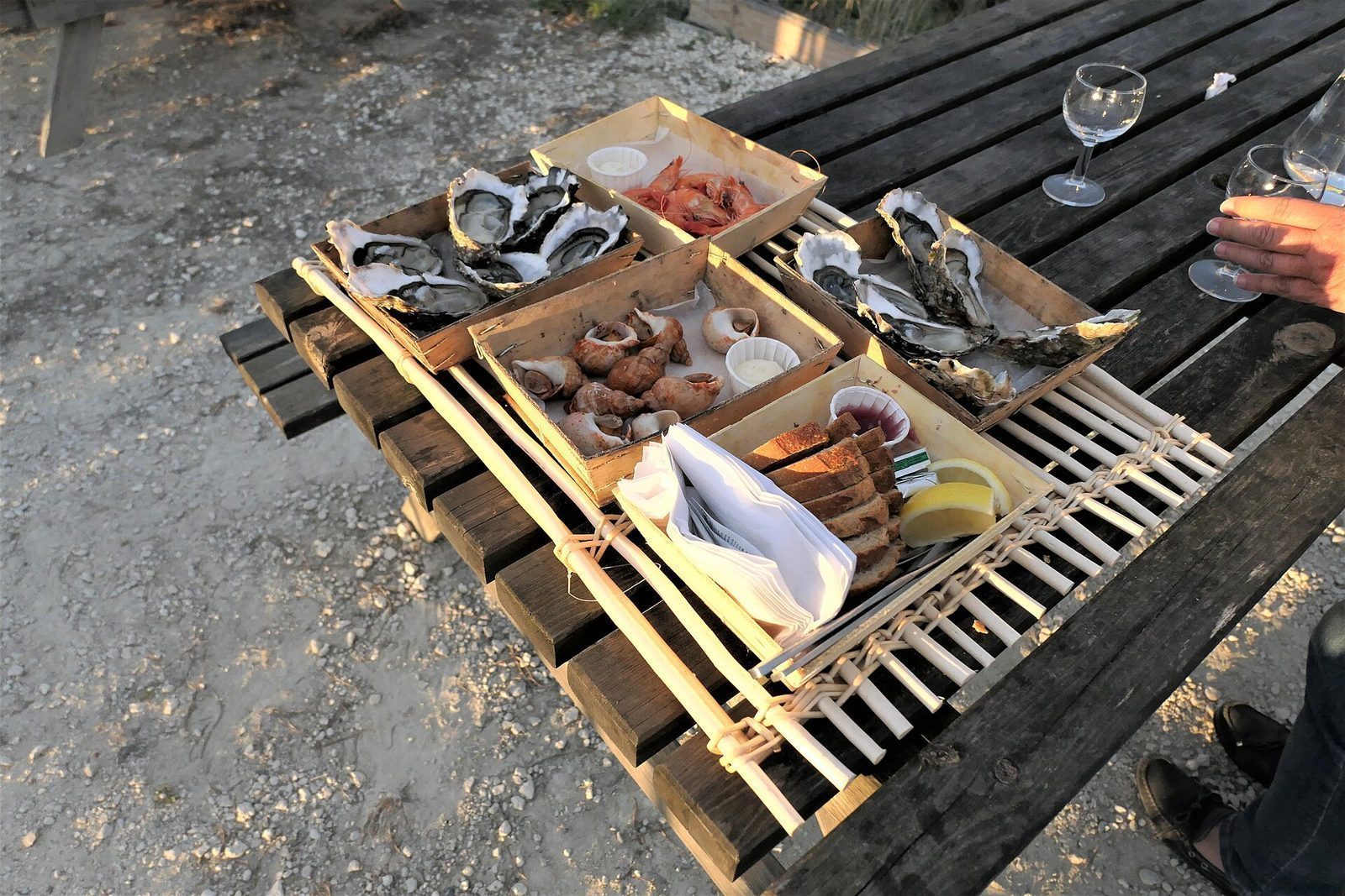Skalldyrfat med østers, sneglehus og brød sett ovenfra