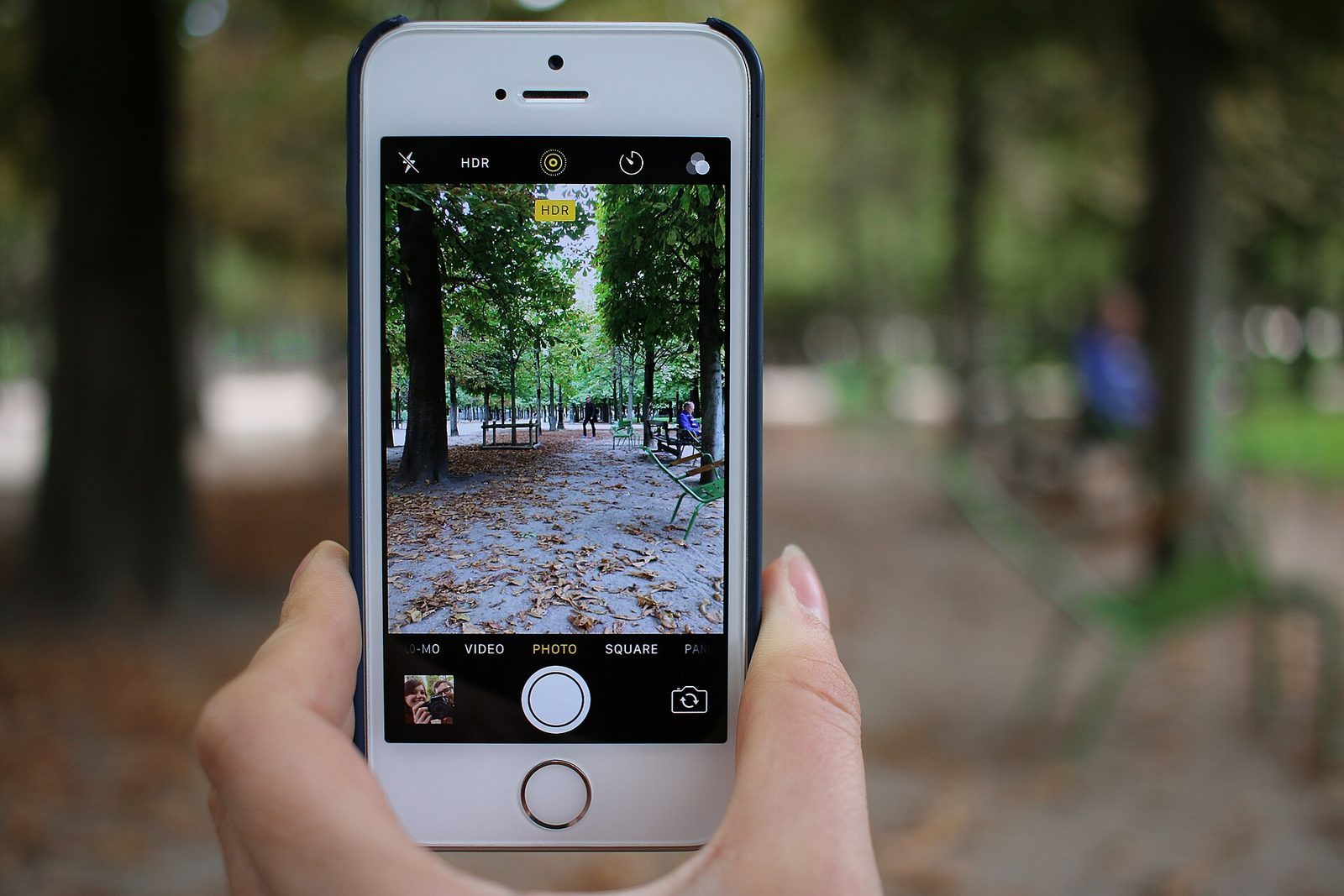 Hånd som holder en mobiltelefon i en parisisk park, med skjermen fylt av trealleen foran